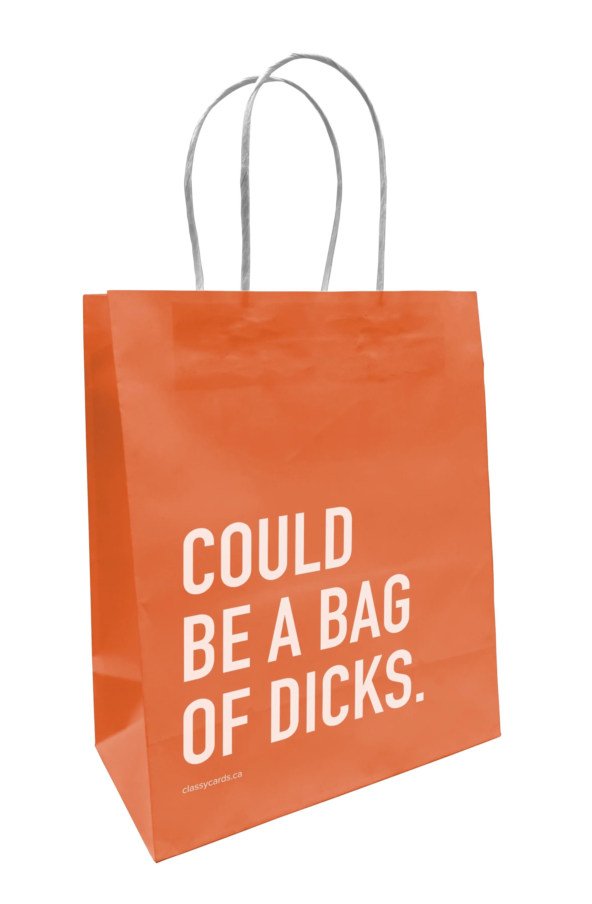 could be a bag | sweary gift bag