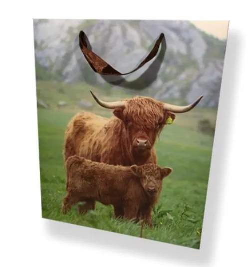 Highland Cow Family Medium Gift Bag