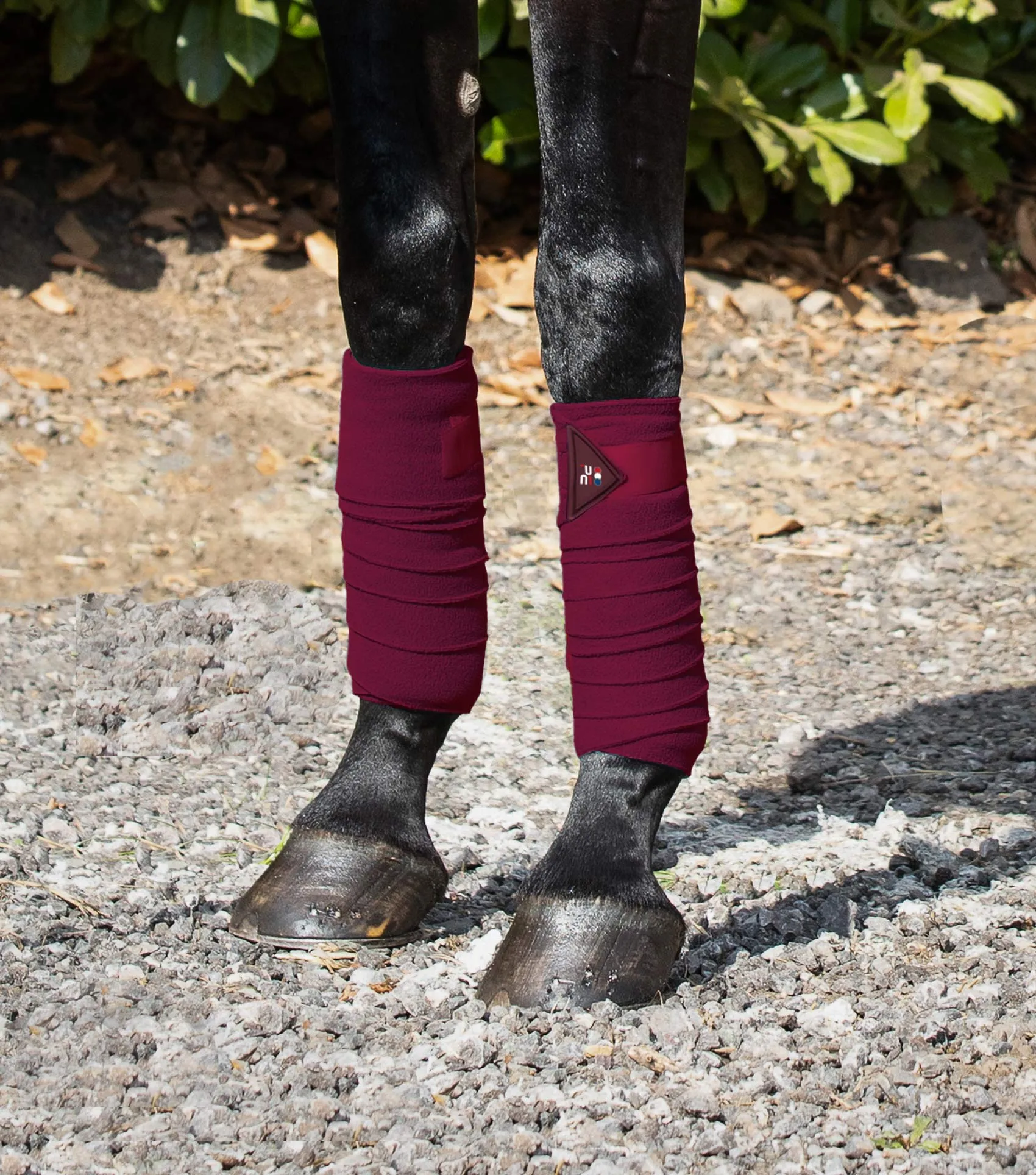 Horse Polo Fleece Bandages Burgundy