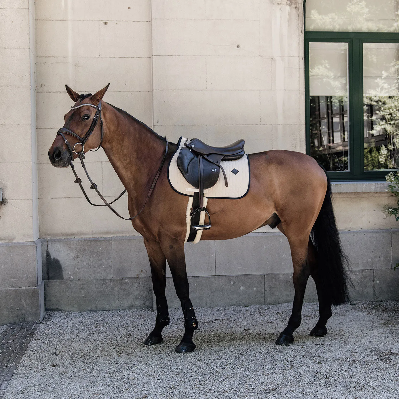 Kentucky Horsewear Softshell Jumping Saddle Cloth - Beige