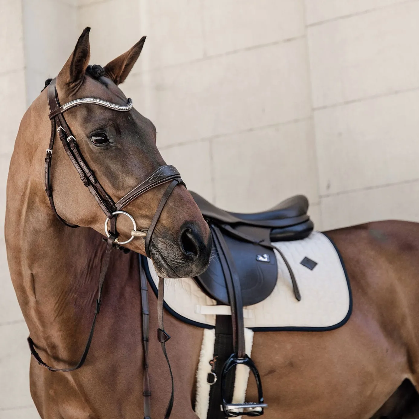 Kentucky Horsewear Softshell Jumping Saddle Cloth - Beige