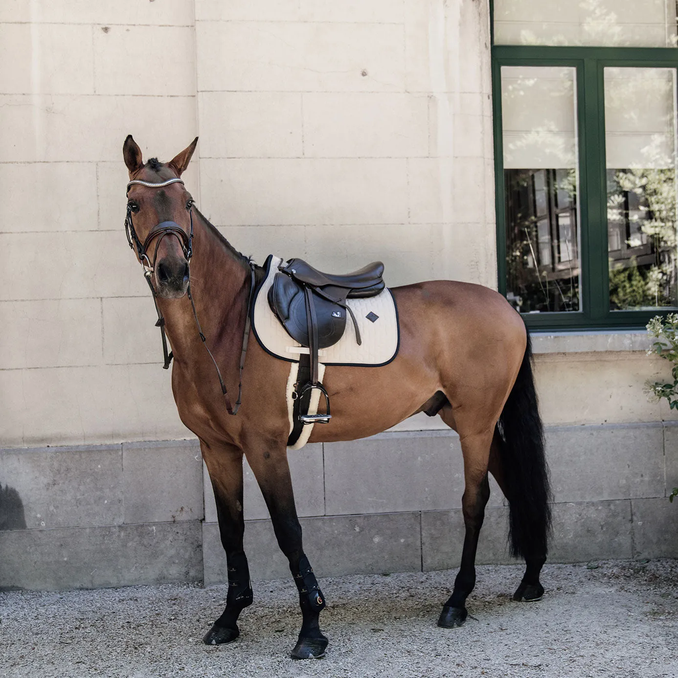 Kentucky Horsewear Softshell Jumping Saddle Cloth - Beige