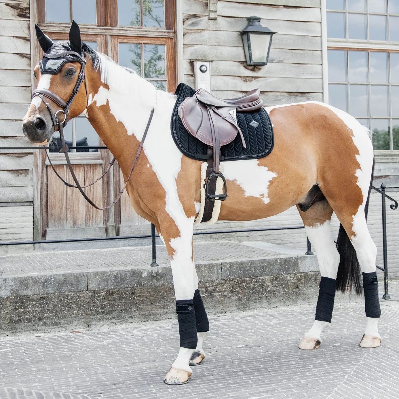 Kentucky Horsewear Velvet Pearls Jumping Saddle Cloth - Black