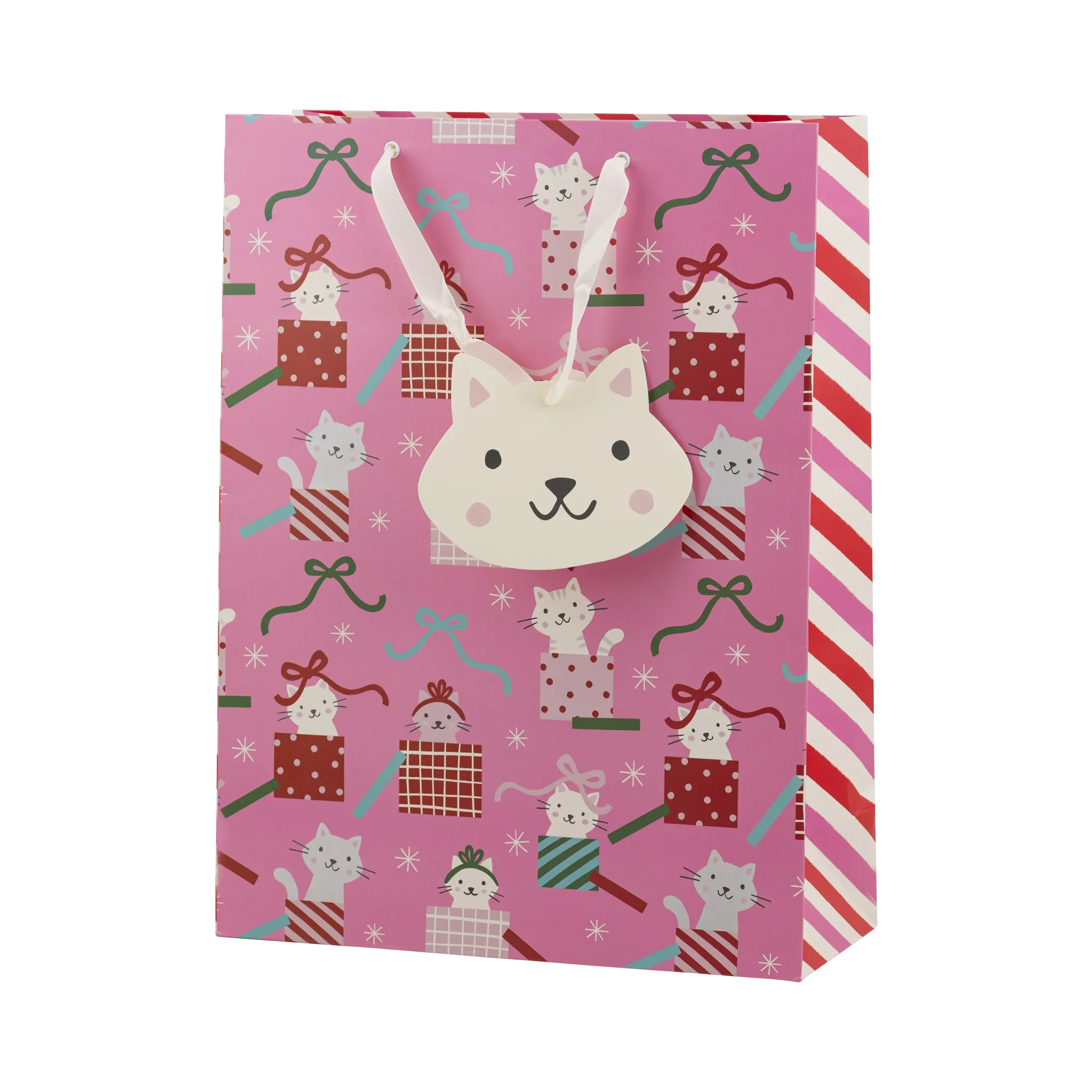 PLGB434 - Cat Gift Bag