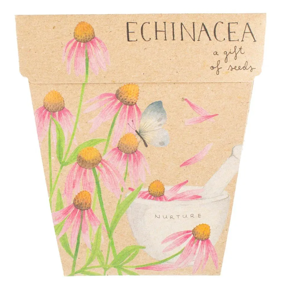 Sow n Sow Gift of Seeds - Echinacea