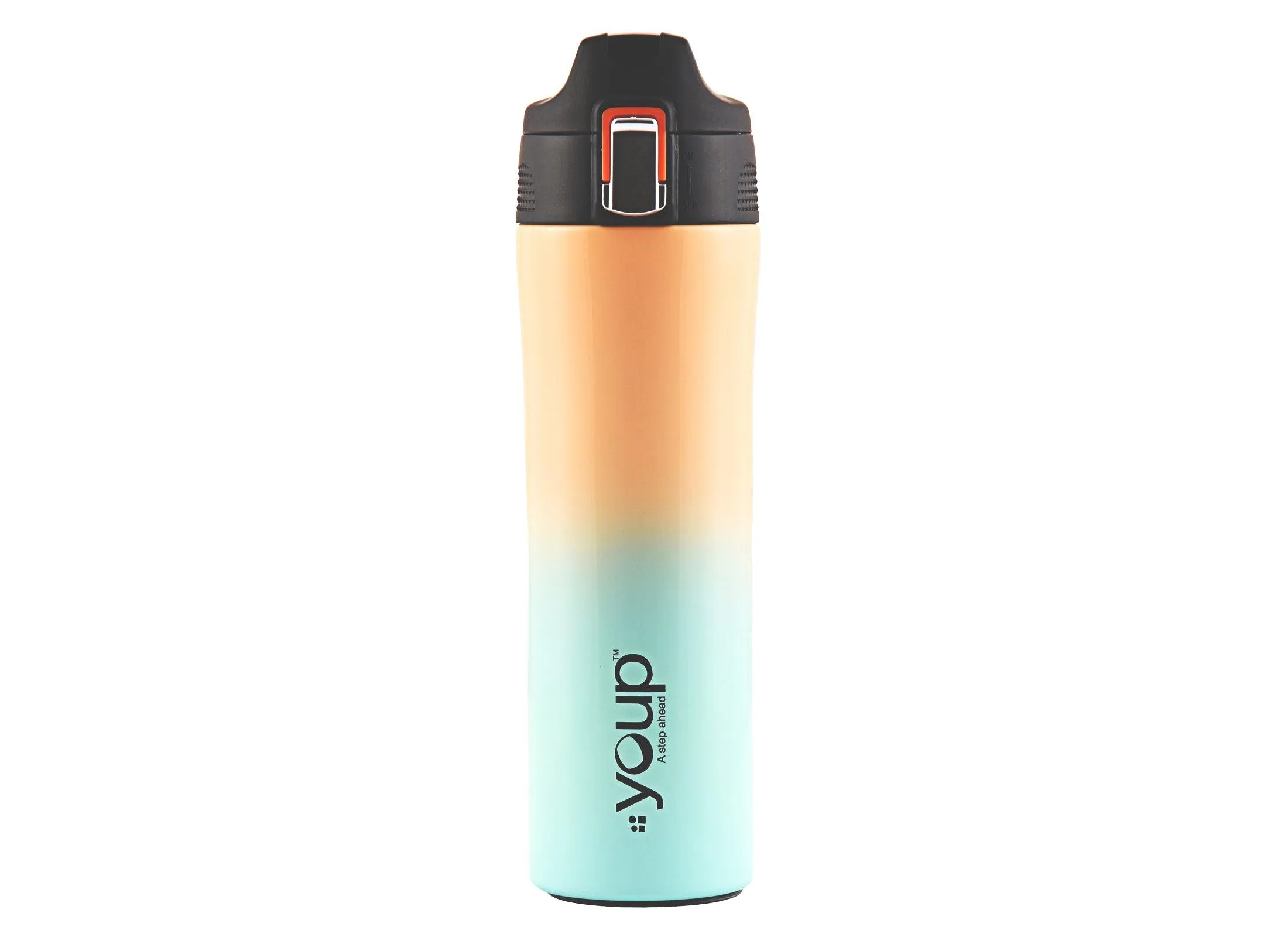 Thermosteel insulated  water bottle LEXUS - 500 ml